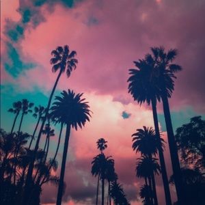 Meet your Posher, Laila